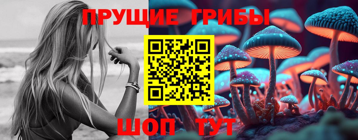 Галлюциногенные грибы Psilocybine cubensis  Вход с VPN  Галлюциногенные грибы Psilocybe  Заволжье 